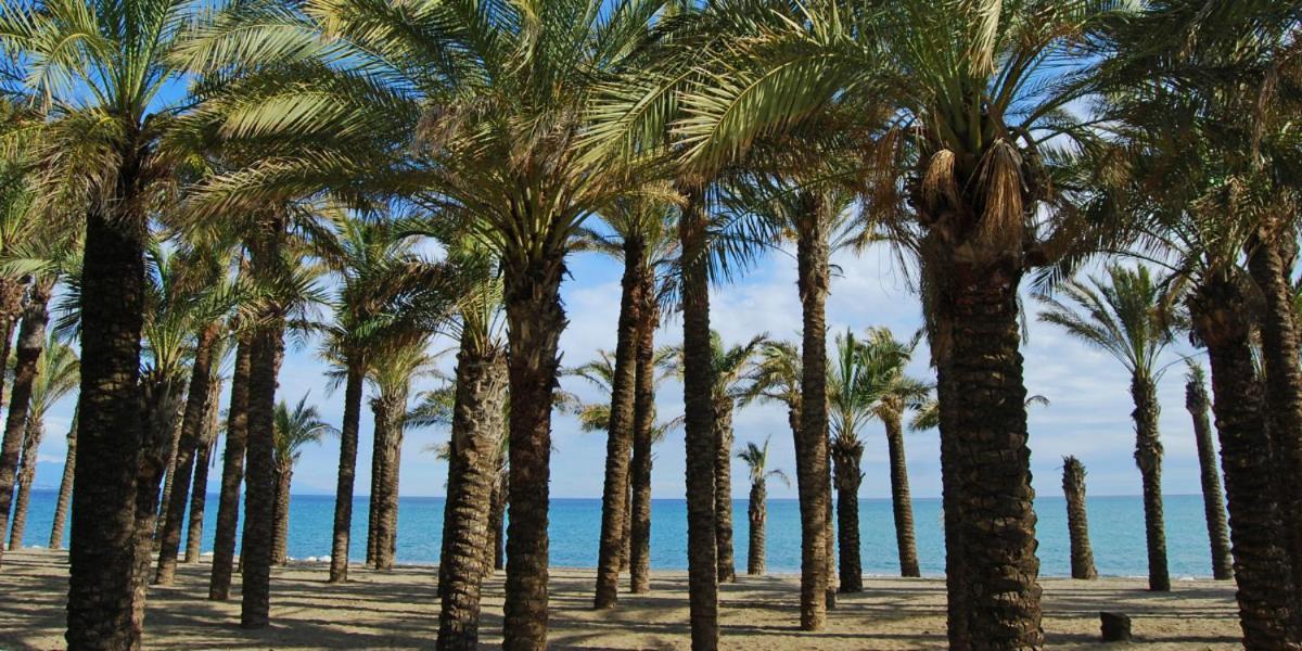Ferienwohnung Apartamento Carole Playa Bajondillo Torremolinos Beach - Playa A 30 Segundos - Wifi - Parking - Terraza Exterior foto